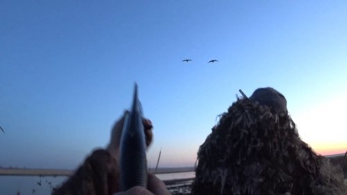 Охота Первый в жизни ГУСЬ