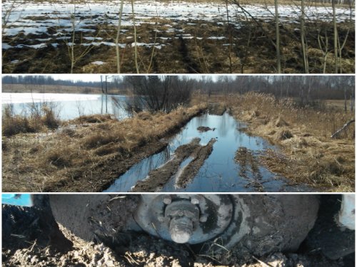В Шегарском районе весенняя.
