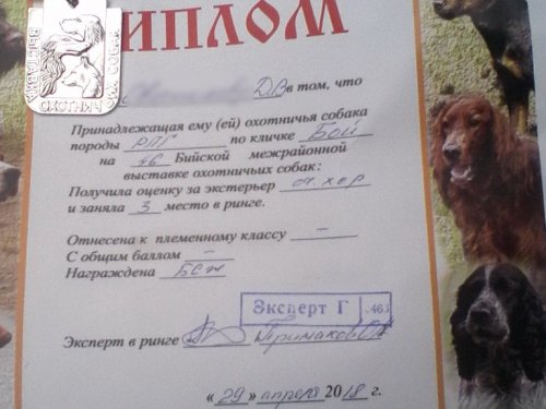 Первая награда друга и помощника.