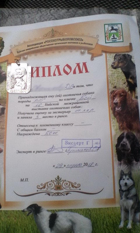 Первая награда друга и помощника.
