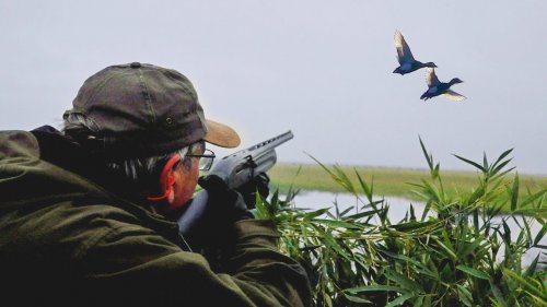 Охота на уток, подборка лучших моментов / Duck hunting...