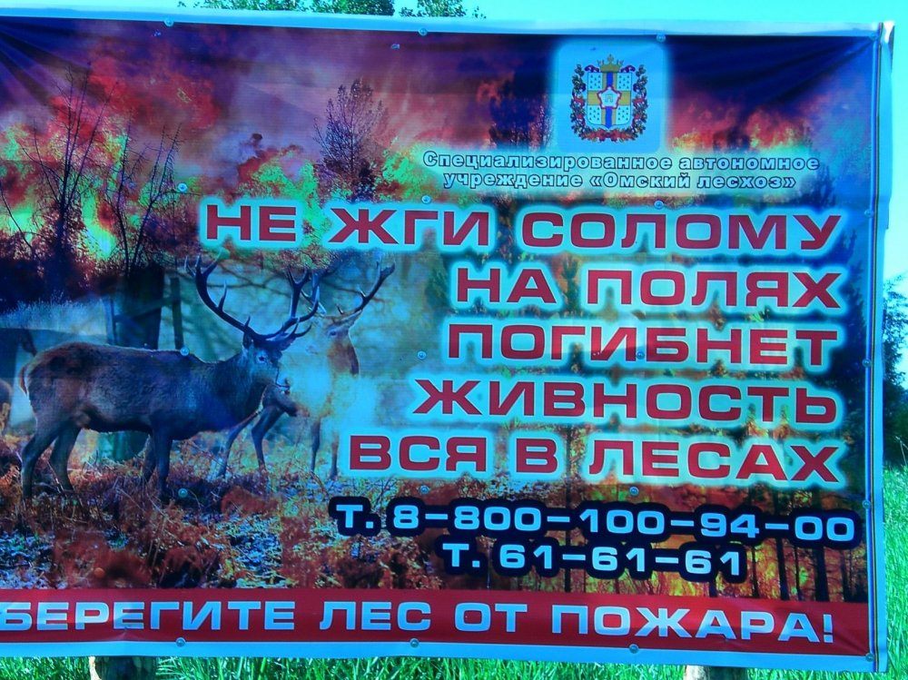 помните.