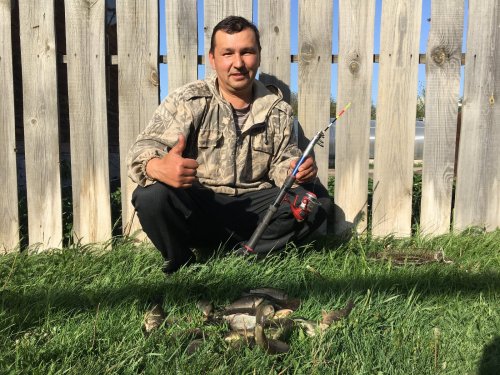 Карасики.