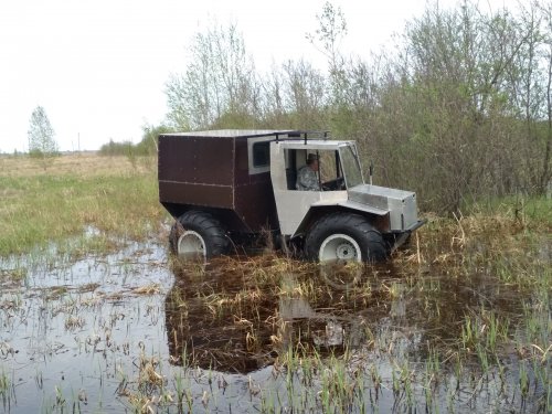 помыли тапки