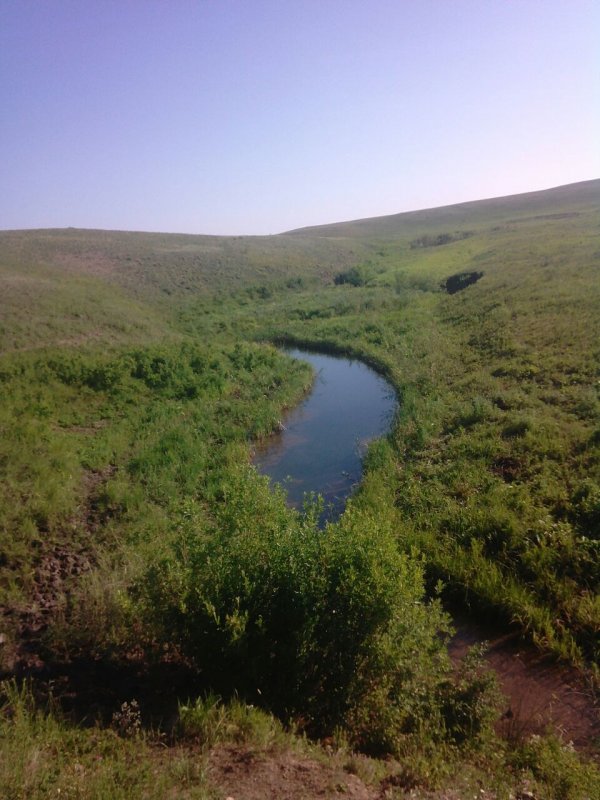 Одинокий плес.
