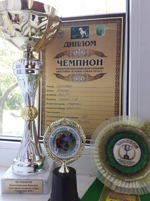 Заработали
