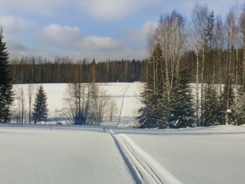 зимнее поле