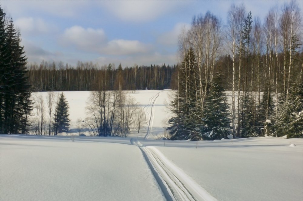 зимнее поле