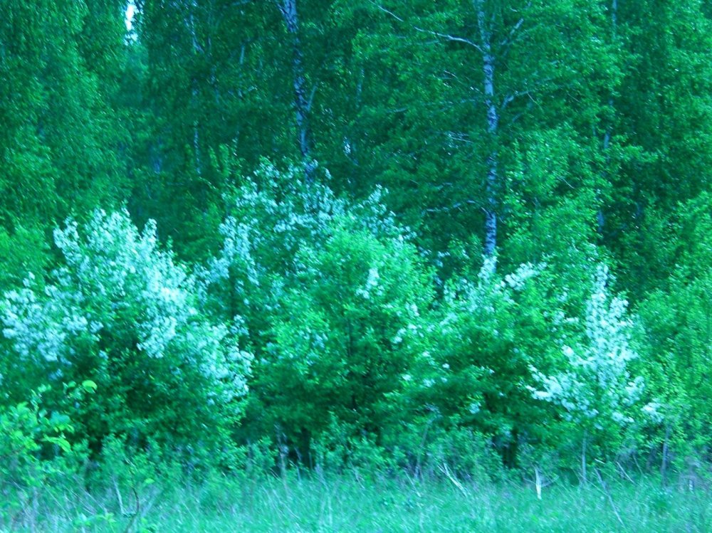 красота