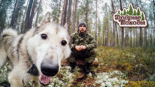 Дневной поход в лес. Тест мембранных носков DexShell.