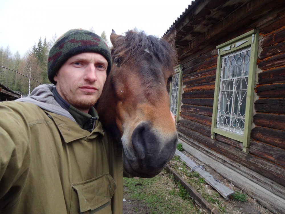 Сэлфи с конем)))