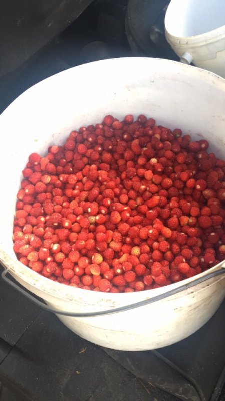 тяжелый труд..но вкусно..
