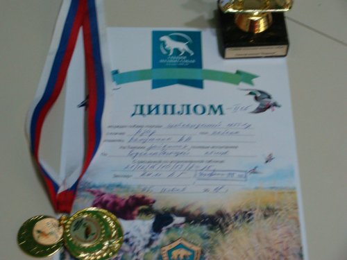 первый диплом