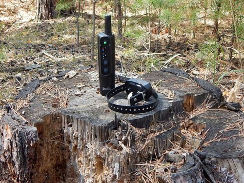 Тест портативного устройства для интуитивной дрессировки собак GARMIN PRO 550