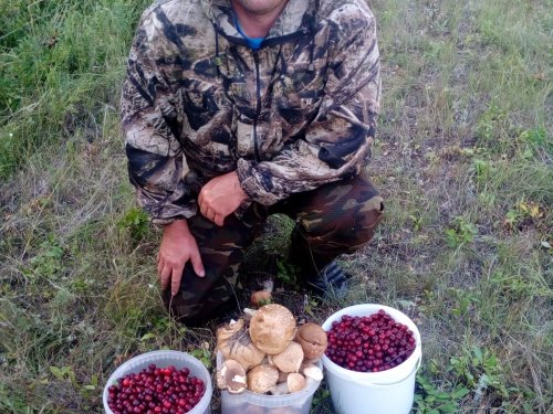 Тихая охота.