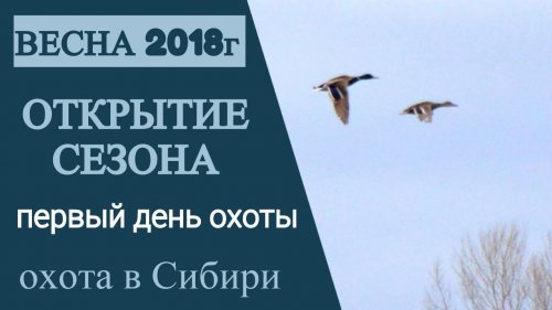 Открытие весенней охоты. 2018г.