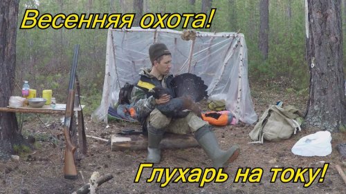Весенняя охота на глухаря на току