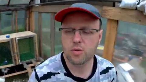 Департация индюшат на улицу!