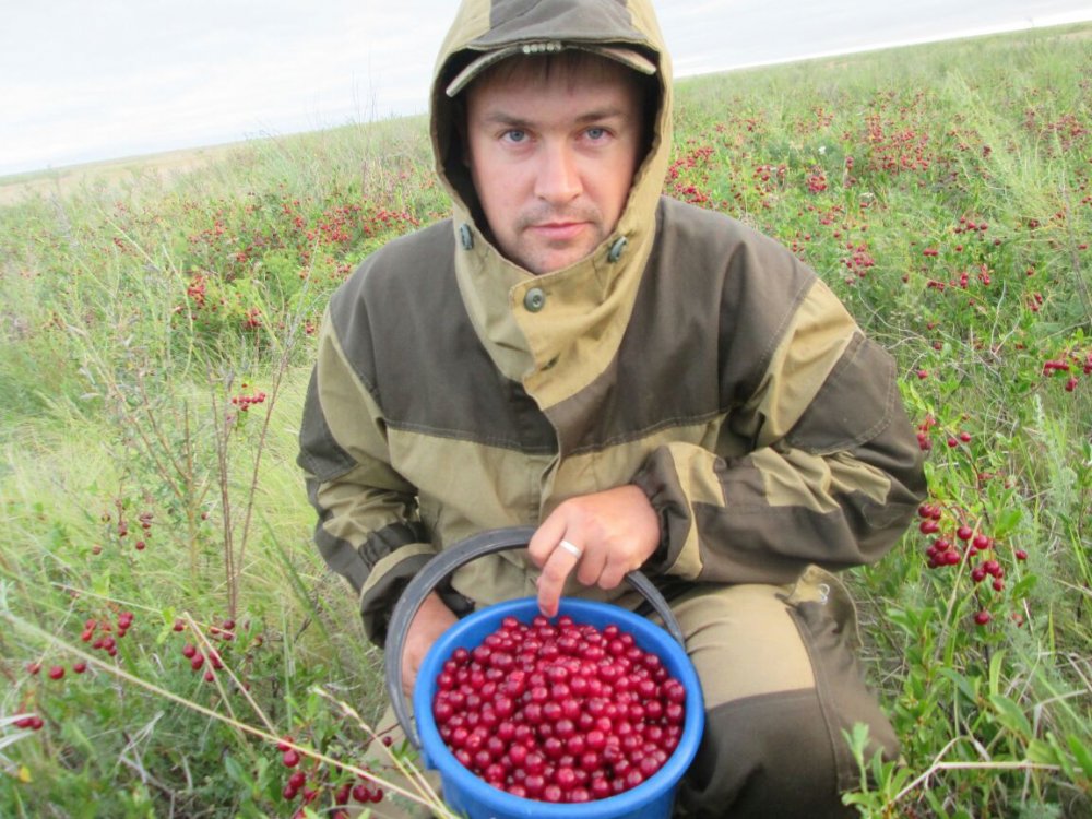 Стрельнули)))