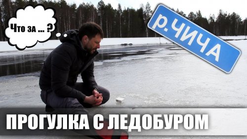 ПРОГУЛКА ПО РЕКЕ ЧИЧА /  РЫБАЛКА / МОР РЫБЫ / БОЛОТО
