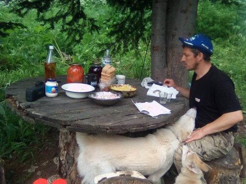 за приезд.