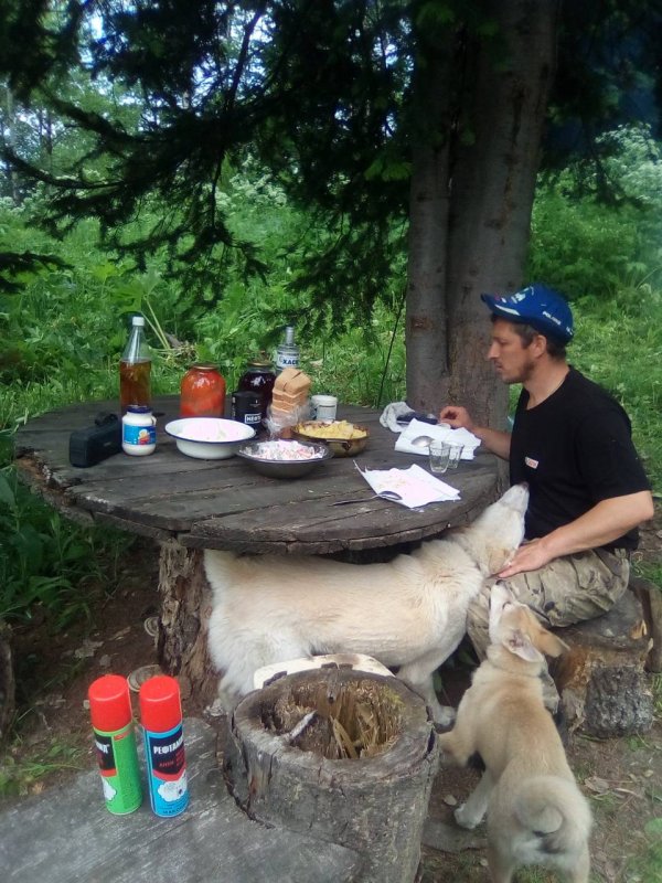 за приезд.