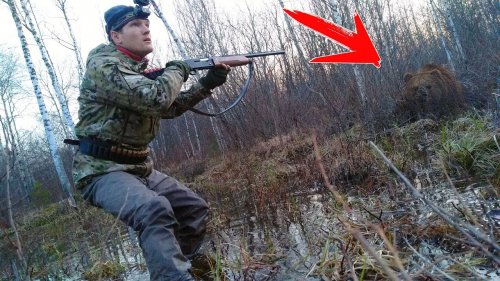 Опасная охота на вальдшнепа… С манком из клизмы