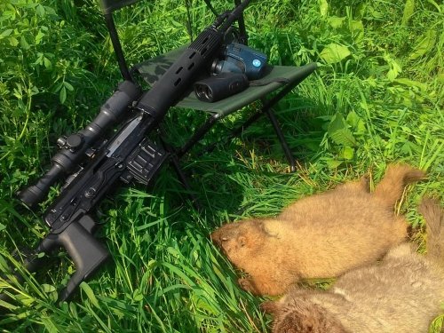 Байбаки))))