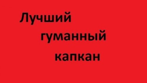 Лучший гуманный капкан. Фотоловушка.