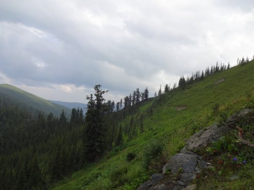 Наши горки
