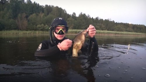 Подводная охота летом 2018, много линя. Встреча с бобром.