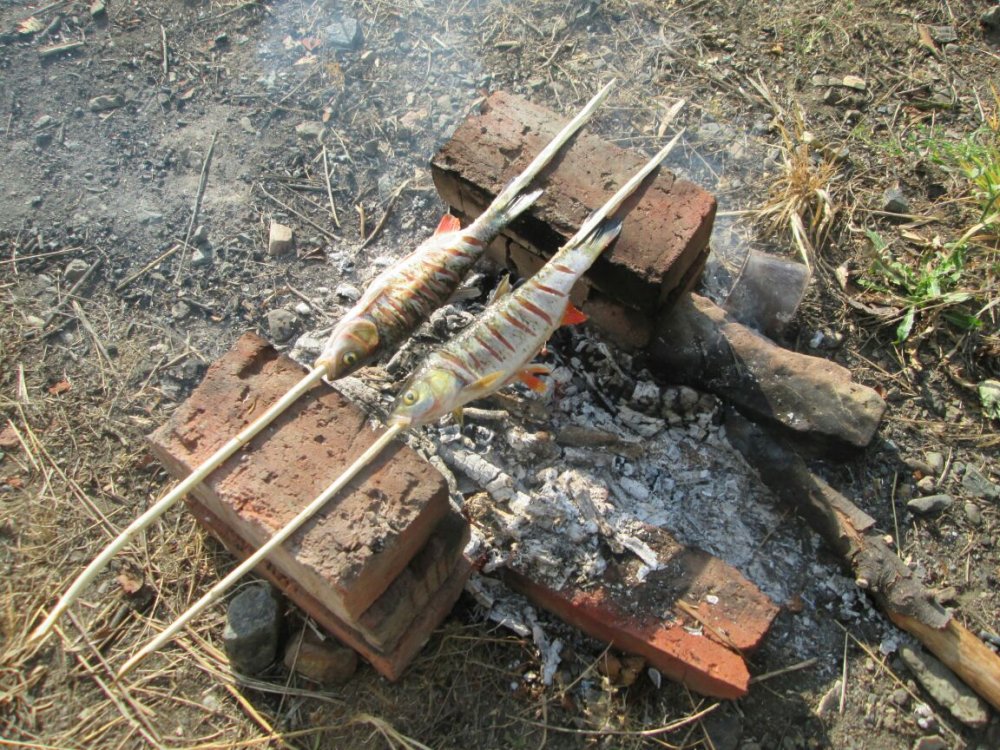 Головли по простому.