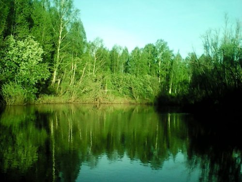 Чузик