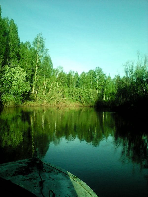 Чузик