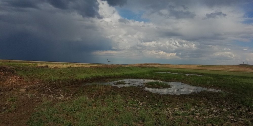 Перед грозой