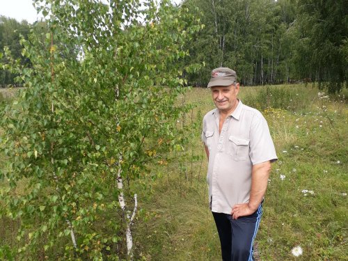 Вот тот фундамент,где я жил три года после свадьбы в лесу.