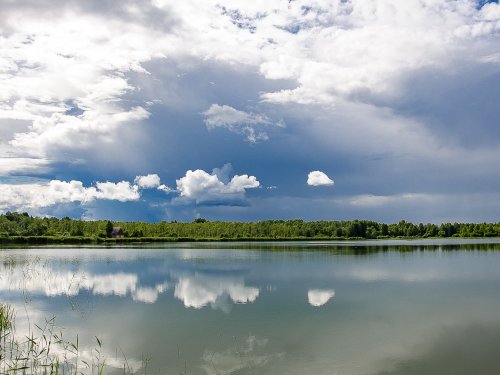 Перед дождем.