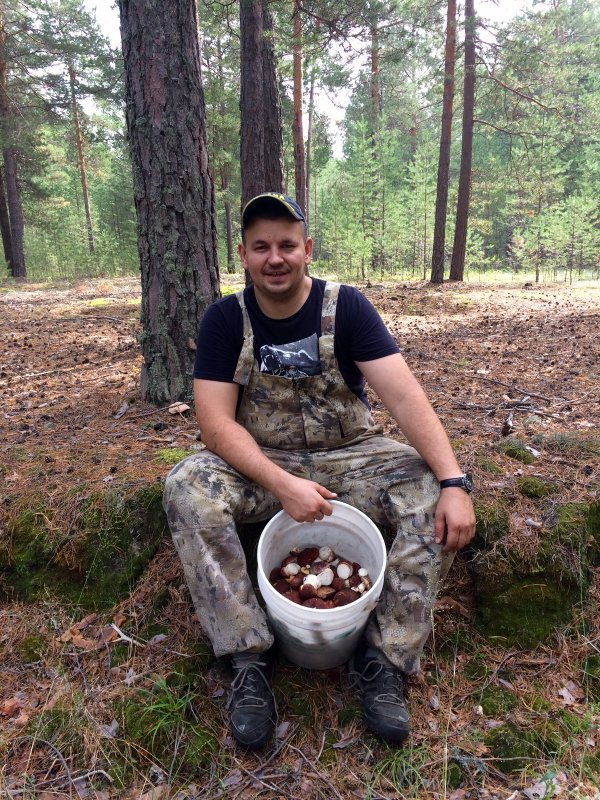 Лицо прежнее, грибы свежак)))