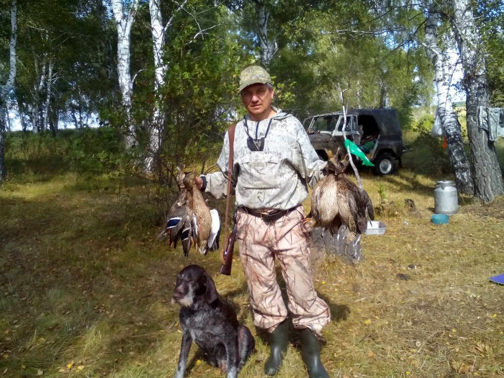 Заслуга верного пса.