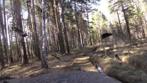 Нива на шинах разного типа (я-192, кама флайм, NН4 без шипов)