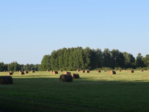 Сенокос.
