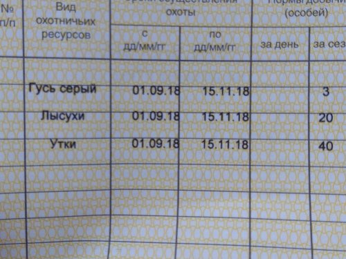 К открытию готов