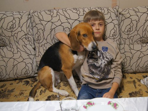 Друзья.