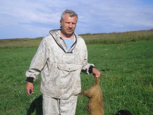 Предкрайний ...