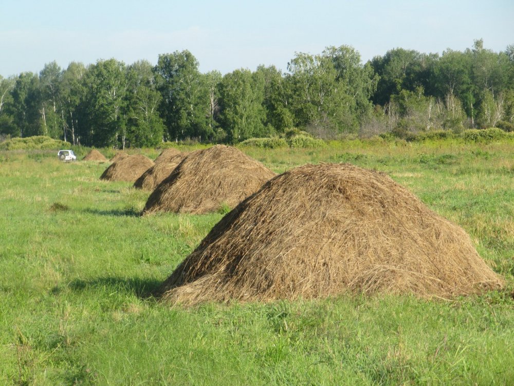 Ровными шеренгами...