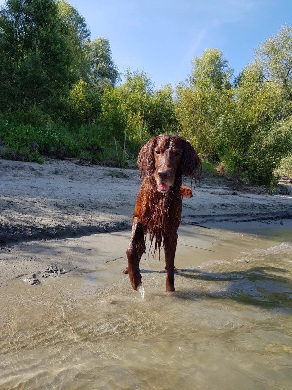 Водичка хороша!!!