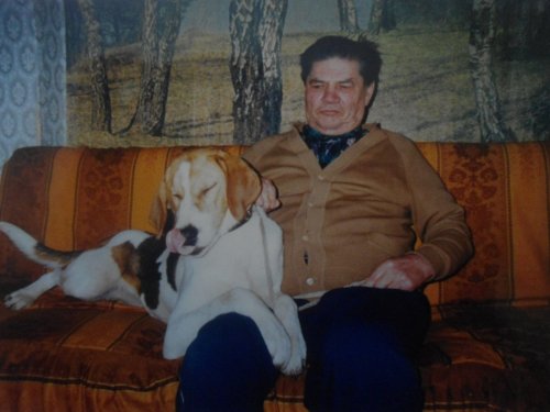 Старые друзья