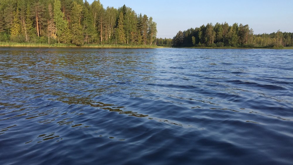 отдых