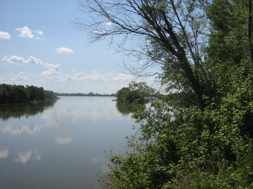 Красота
