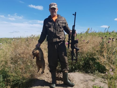 Трудовой сурок.